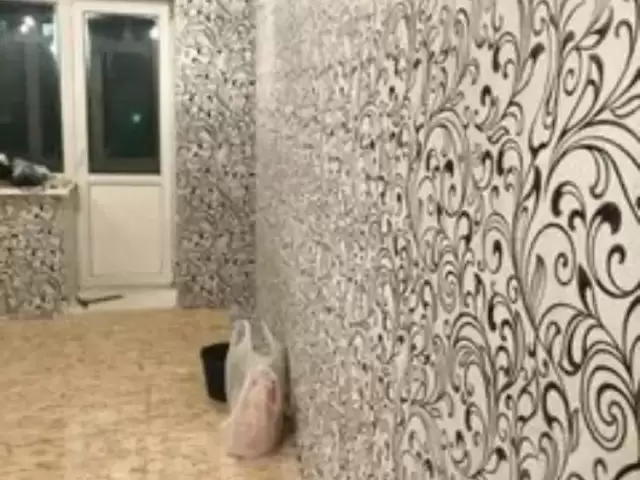 Услуги Маляр 1, farmo.tj