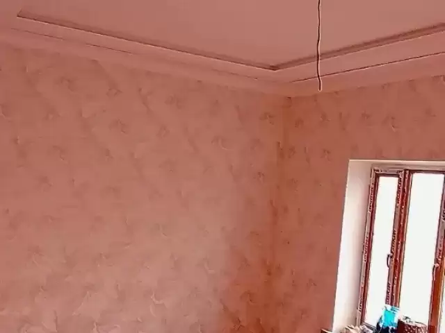 Шпатилёфка 2 слой  кати краскаш 1, farmo.tj