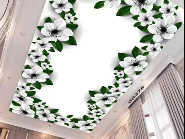 Услуги Натяжные потолки 1, farmo.tj