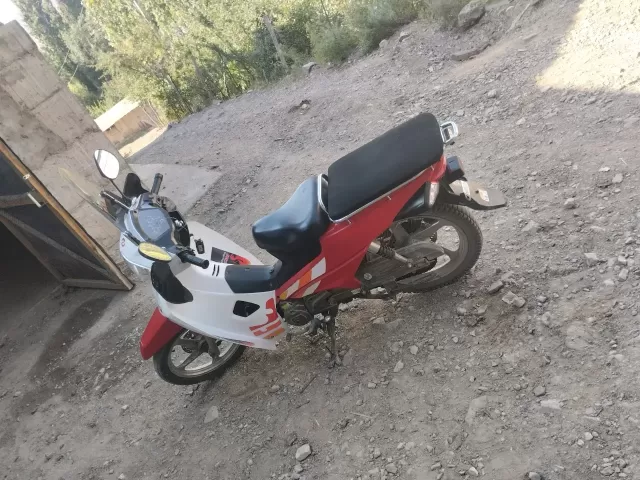 Cкутер утка, 2018 1, avtobaza.tj