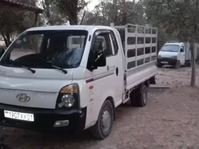 Hyundai Porter, 2010 1, avtobaza.tj