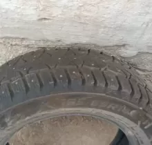 Болон пачти нав в Истаравшан