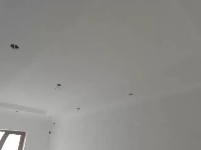 Услуги Отделка 1, farmo.tj