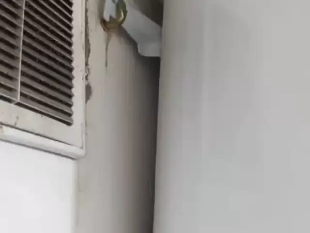 Услуги сантехник и электрик 1, farmo.tj