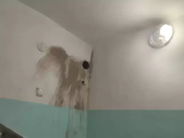 Крот шварез бетона рез 1, farmo.tj