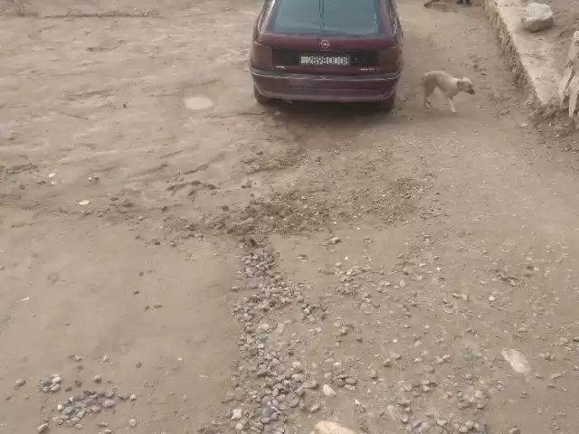 Opel Astra F, 1993 1, avtobaza.tj