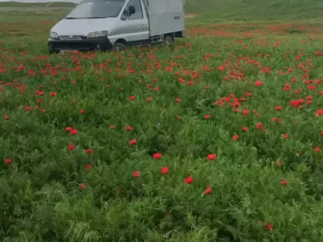 Грузовики Hyundai, 2000 1, avtobaza.tj
