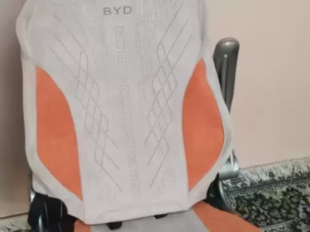 BYD-Родной Чехол 1, avtobaza.tj