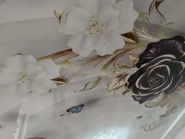 Услуги Натижной потолок 1, farmo.tj