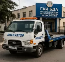 Услуги эвакуатор в Дангара 