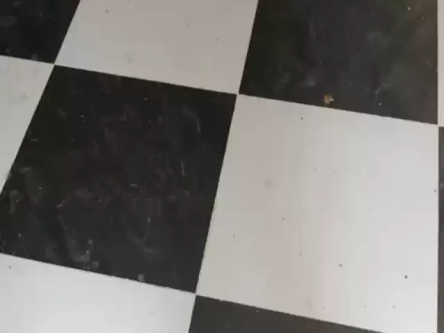 Усугли кафелчик 1, farmo.tj