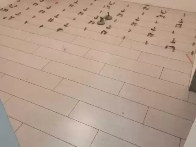 Ороиши сангхо 1, farmo.tj