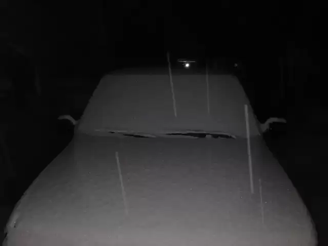 SsangYong Musso, 2001 1, avtobaza.tj