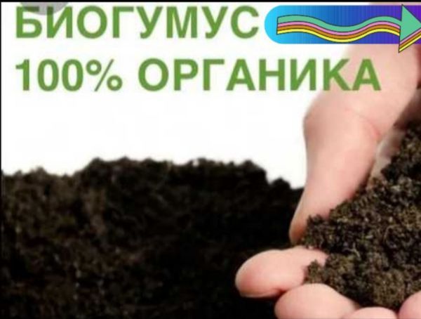 Биогумус , (100%) органика 1, Agros.tj